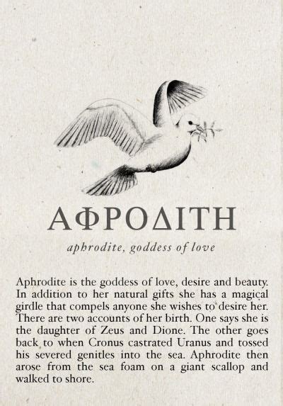 APHRODITE'S CABIN - APHRODITE'S CABIN