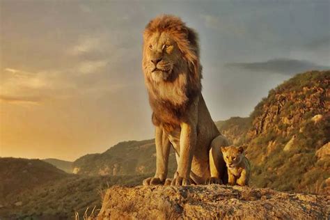 'Mufasa: The Lion King' prequel roars Into theaters December 20