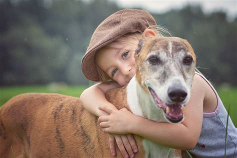 Dog On Greyhound | atelier-yuwa.ciao.jp