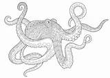 Free OCTOPUS Coloring Pages For Download Printable PDF sketch template