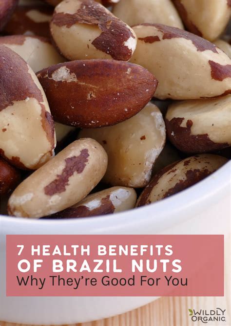 Health Benefits of Brazil Nuts | Learn More | Wildly Organic