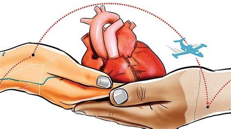 Govt moves towards common organ donation registry, ZTCCs yet to comply