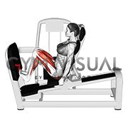 Lever Seated Squat Calf Raise on Leg Press (female) Machine