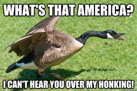 WHat's that America? I can't hear you over my honking! - Angry Goose - quickmeme