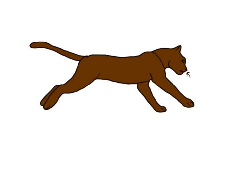 Cat Running Gif Transparent Background - lvandcola