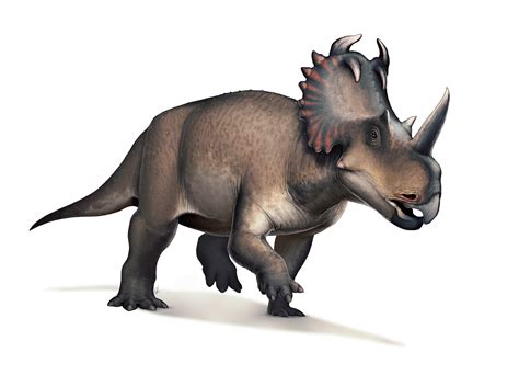 ArtStation - Centrosaurus: Wikipedia