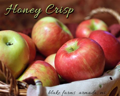 Easy Recipe: Tasty Are Honeycrisp Apples Healthy - Prudent Penny Pincher