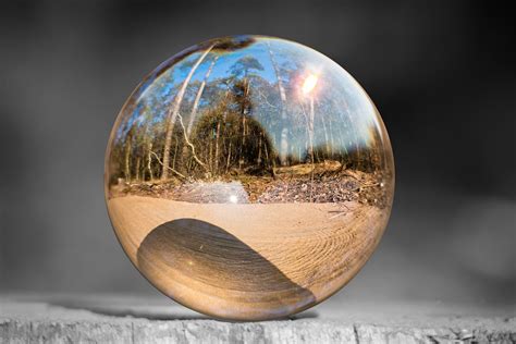 Glass Ball Tree Stump Forest - Free photo on Pixabay