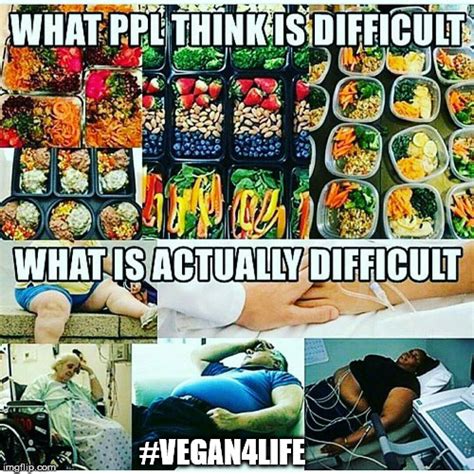 27+ Funny Memes About Eating Healthy - Factory Memes