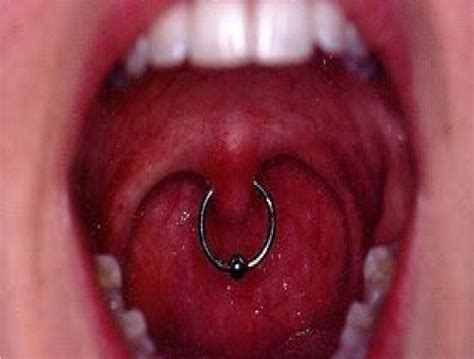 Uvula Piercings