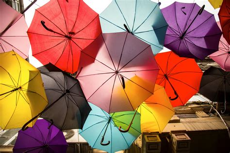 Assorted-color Umbrellas · Free Stock Photo