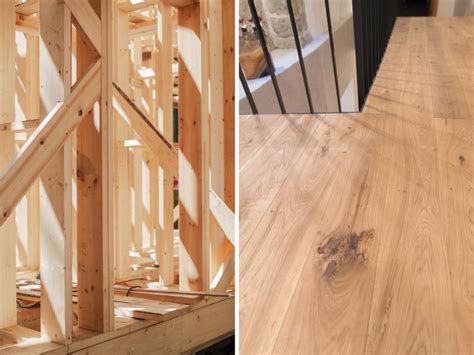 Hardwood Vs Softwood: Uncovering The Differences & Uses | Your Ultimate Guide