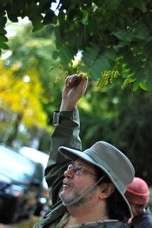 Sustainable Flatbush Fall Foliage Walking Tour | Jasoninbklyn | Flickr
