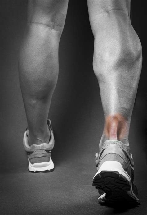 Achilles tendon pain (tendinopathy), best advice & exercises