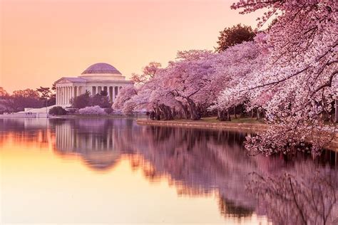 USA Bucket List: Natural Wonders of the U.S. | Jefferson memorial, Most beautiful cities, Scenic
