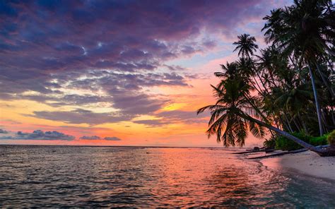 Tropical Beach Sunset 4k Wallpaperhd Nature Wallpapers4k Wallpapers ...