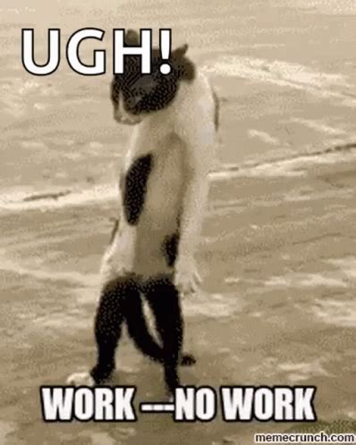 Work No Work GIF - Work NoWork Cat - Discover & Share GIFs