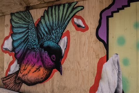 Free Images : bird, purple, city, animal, urban, flying, decoration, color, colorful, graffiti ...