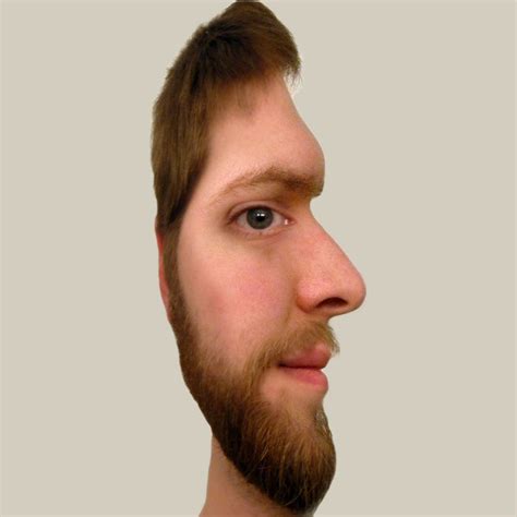 Face Illusion by West-Ninja on DeviantArt | Face illusions, Optical ...