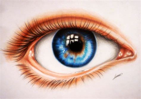 Pencil drawings, Colored pencil drawing, Color pencil art