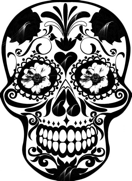 Skull Free Stock Photo - Public Domain Pictures