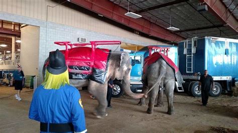 Petition · Shriner's Circus Must Retire Their Animals. - Tadmor, United ...