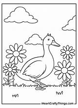 Printable Ducks Iheartcraftythings sketch template