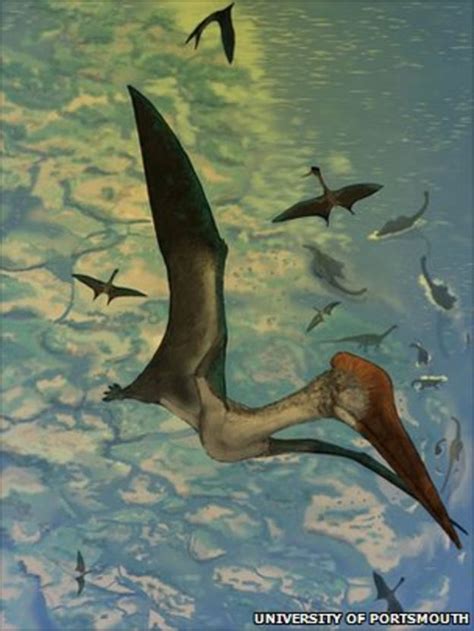 Pterosaurs' wings 'key to their size' - BBC News