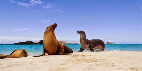 Ecuador Travel & Galapagos Tours with Enchanting Travels