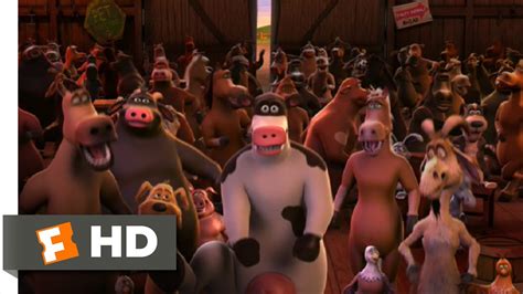 Barnyard (5/10) Movie CLIP - Let's Boogie! (2006) HD - YouTube