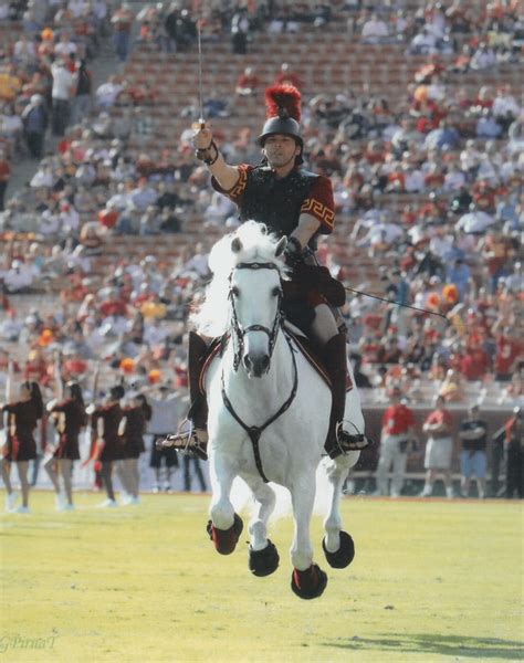 USC Mascot - Tilley Andalusians