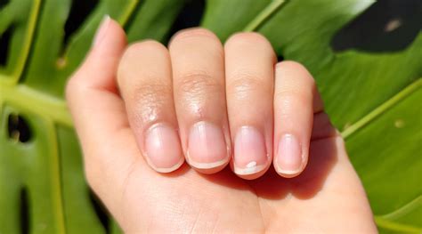 Healthy Fingernails