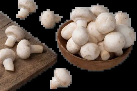 Mushroom: Health Benefits, Types and Nutritional Value