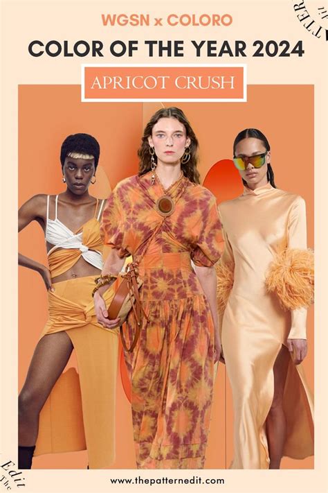 Color of the Year 2024 - Apricot Crush from WGSN x Coloro | Fashion ...