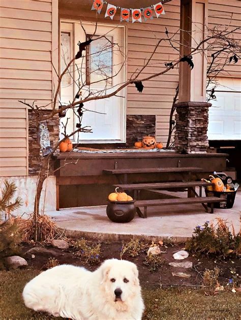 Affordable Spooky DIY Halloween Porch Decorating Ideas