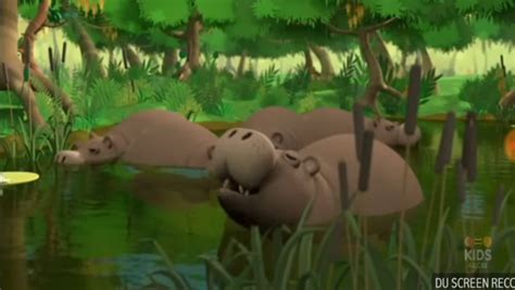 Malagasy Hippopotamus | Animals Wiki | Fandom