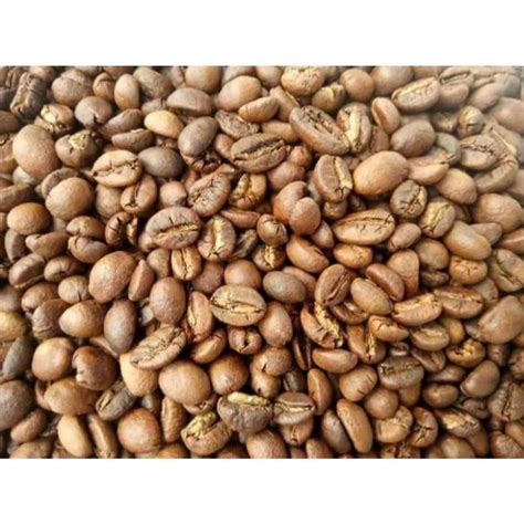 Jual Biji Kopi Luwak Roasting 500gram (100% Original) di Seller Mustika Djamue - Curah Jeru, Kab ...