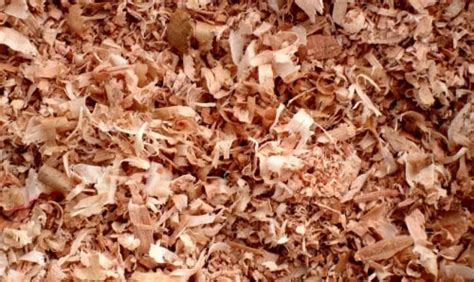 Cedar Shavings | Woodard Mercantile