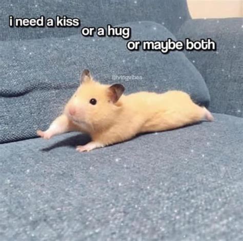 Hug or kiss | Cute love memes, Cute memes, Wholesome memes