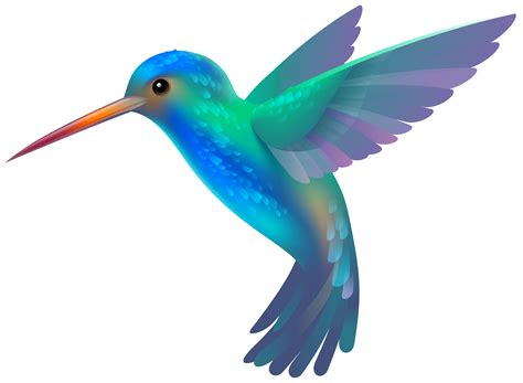 Transparent Background Hummingbird Clipart Png Clip Art Library | The Best Porn Website