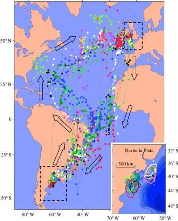 Avian Behaviour and Ecology | Oxford Navigation Group