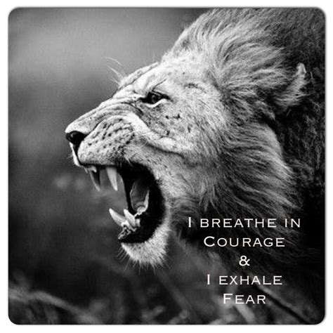 Image result for roaring fears | Lion quotes, Warrior quotes, Fierce lion