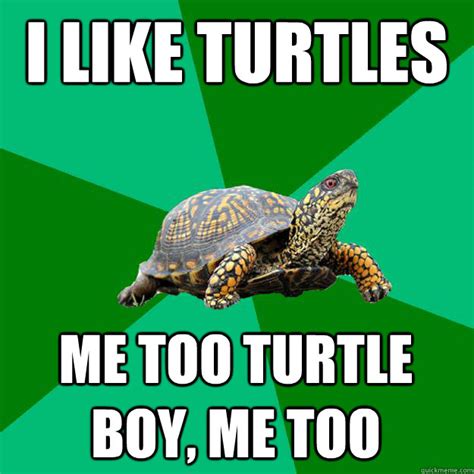 Slow Like A Turtle Meme | BlageusDown