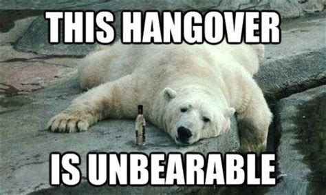 42 Hangover Memes That Capture The Regret Of Drinking Too Much
