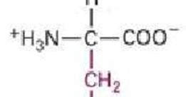 Bio Gallery: Methionine structure