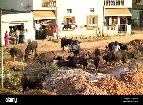 Rupena Agrahara, Hosur Road Area, Bangalore, India Stock Photo - Alamy