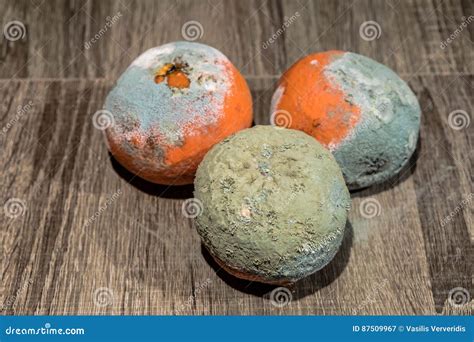 Rotten and Fresh Tangerine Fruit with Mold. Stock Image - Image of fresh, mold: 87509967