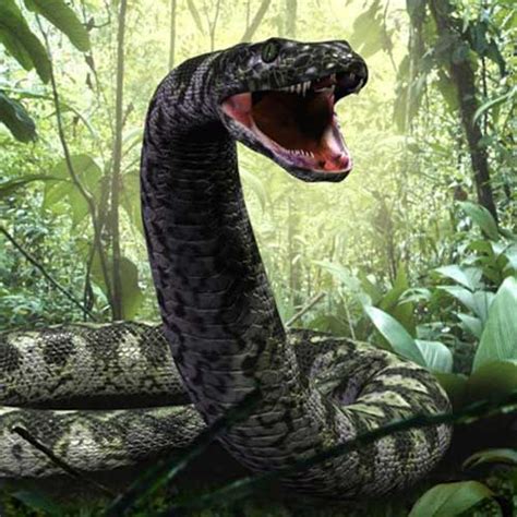 Largest snake the world has ever seen is being brought back to life by ...