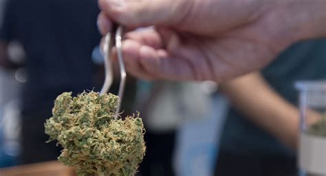 Marijuana Legalization in Ohio: The Wrong Way to Legalize? - POLITICO ...