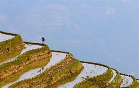 Rice Terraces Of Yuanyang Yunnan China by Konstantin Kalishko | Rice ...